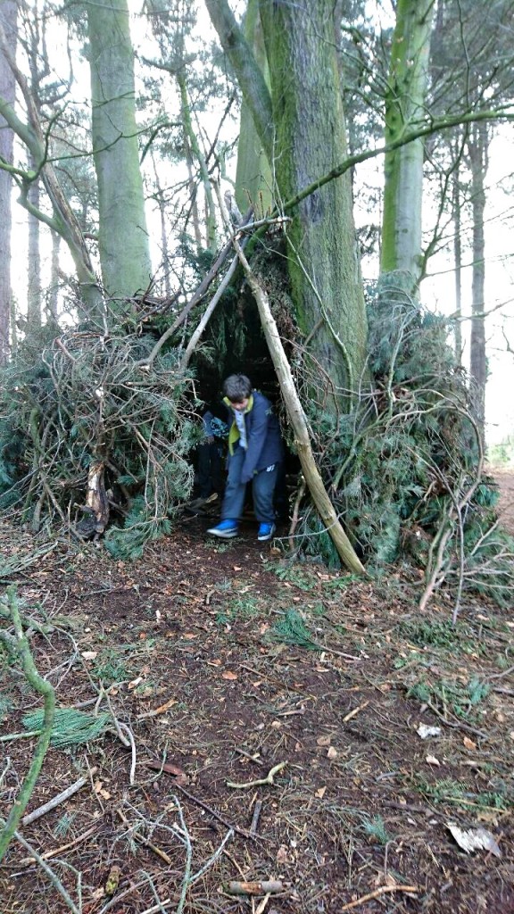 Den Building