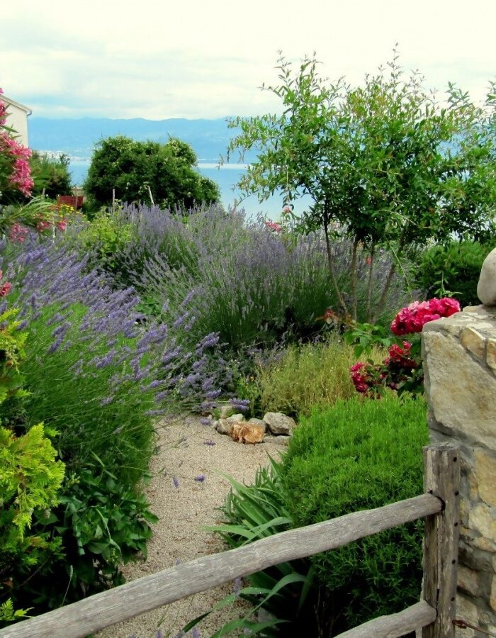 South of Italy in Your Garden – What Plants to Grow?