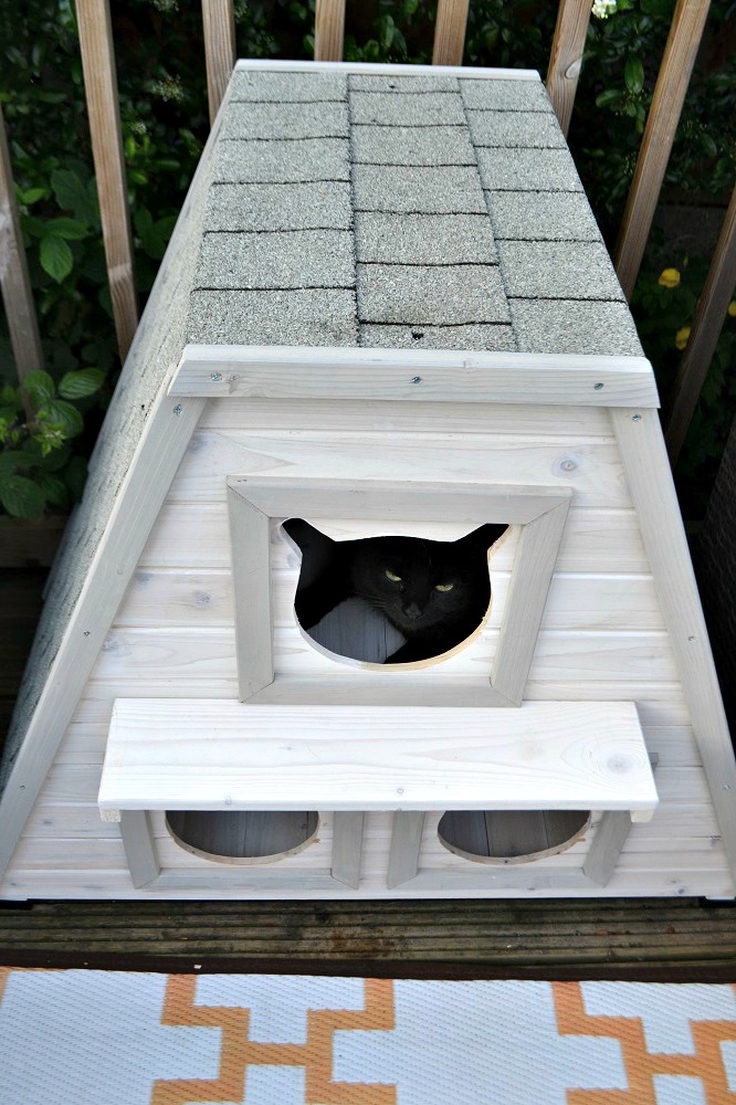 Garden shelter for cats