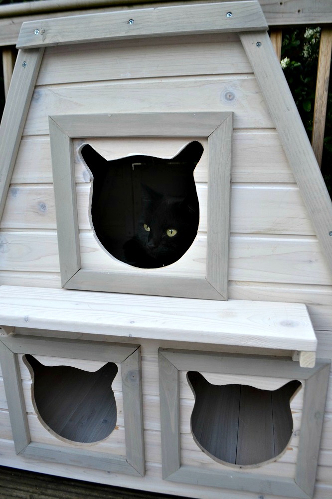 Wooden house for cats