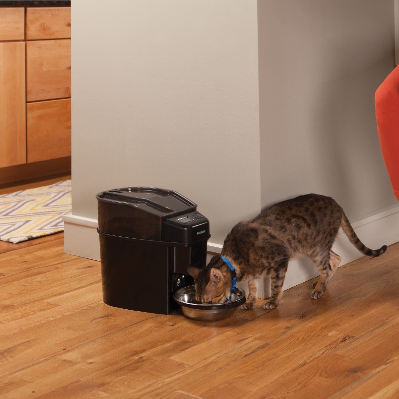 Automatic cat feeder UK