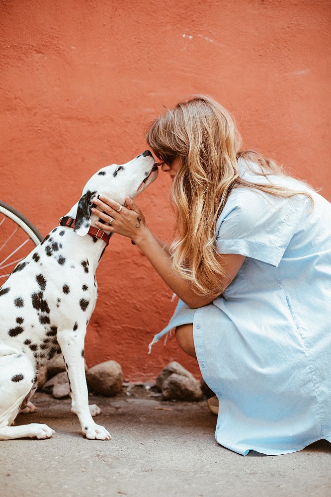 Plan the Perfect Relaxing Break with Your Pet