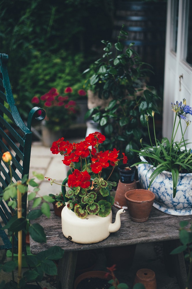 tidy garden