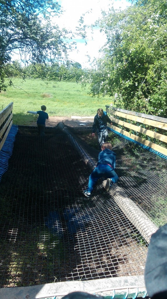 bridge at crocky trail