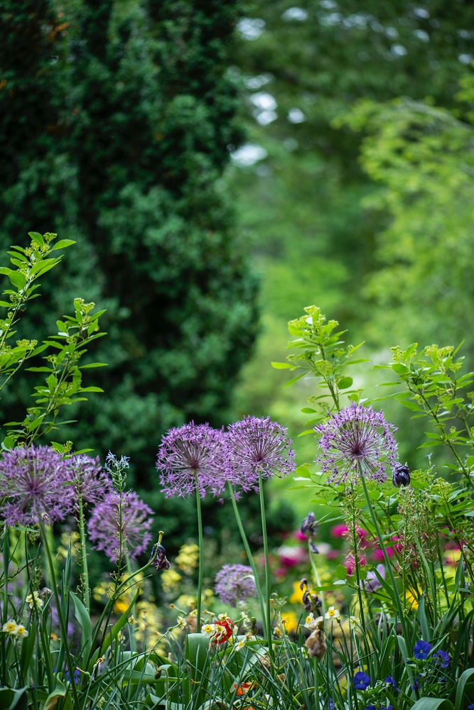 Lovely Additions That Will Make Any Garden More Appealing