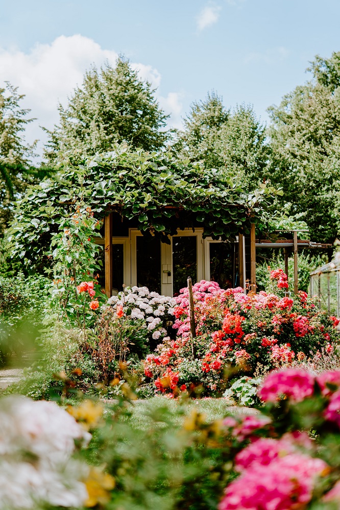 How do I organize my plants outside?